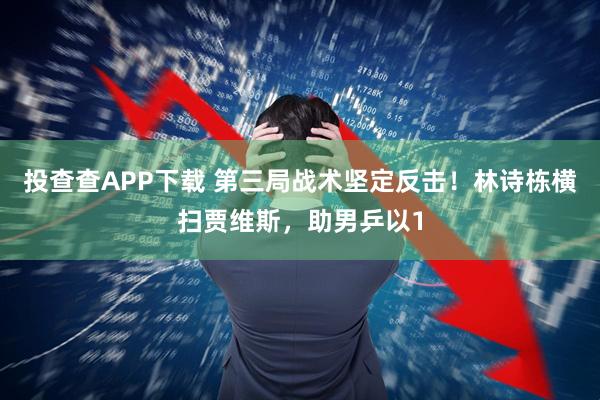 投查查APP下载 第三局战术坚定反击！林诗栋横扫贾维斯，助男乒以1
